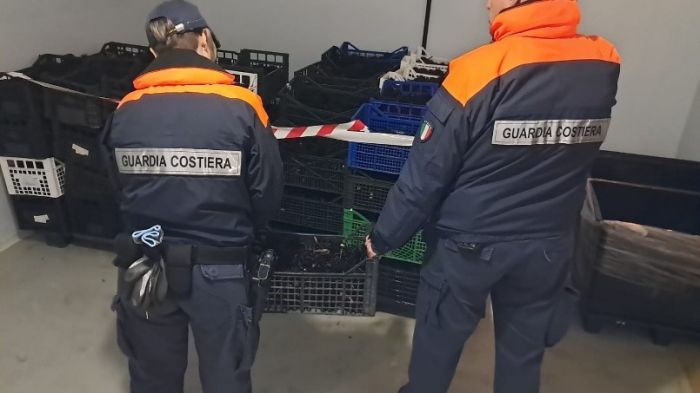 Maxi sequestro di ricci di mare: 1.800 kg bloccati nella notte, affare illecito da 50mila euro