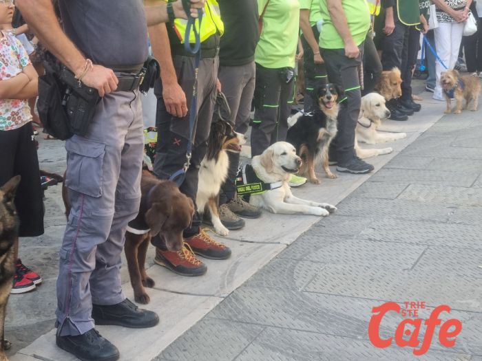 Animal Festival, domenica Trieste tutta celebra San Francesco con la benedizione degli animali