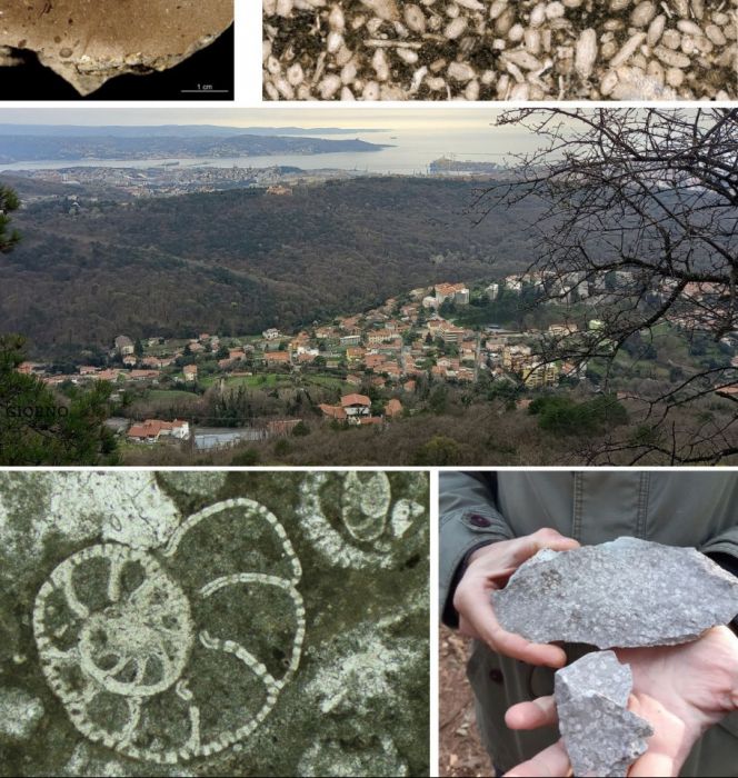 “Passeggiando s'impara”: sabato 16 maggio una giornata tra dinosauri e microfossili