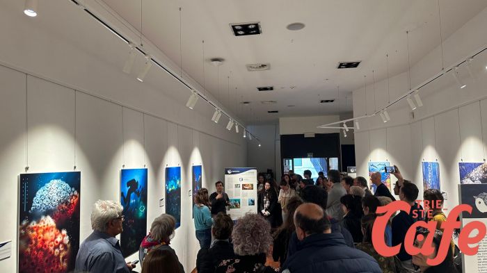 A Trieste 5 giovani illustratori raccontano gli abissi marini (FOTO)