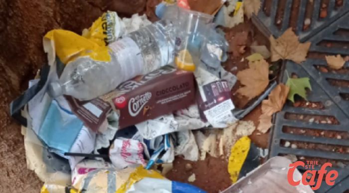 Scovaze abbandonate da giorni in viale XX Settembre, triestina infuriata: "Vergognoso e incivile!"
