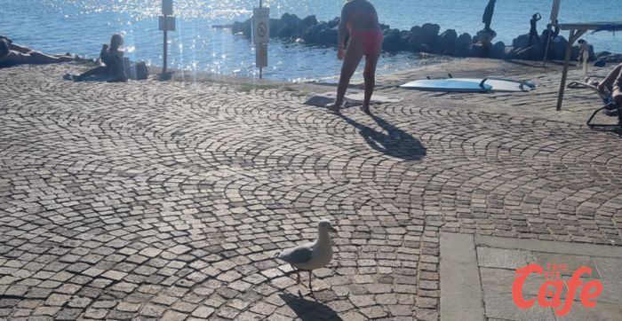 Sabato pomeriggio settembrino di caldo e sole, a Barcola un cocal prende la tintarella 