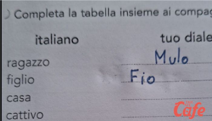"Traduci in dialetto", il compito a casa di una bimba triestina di 9 anni per mantenere vive le tradizioni