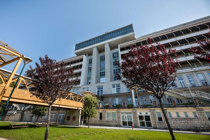 A una startup triestina 2,4 milioni di fondi EIC per Supercalcolo e AI