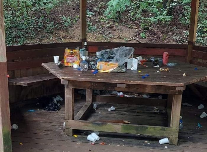 Fanno un picnic al Boschetto abbandonando tutte le immondizie prodotte 