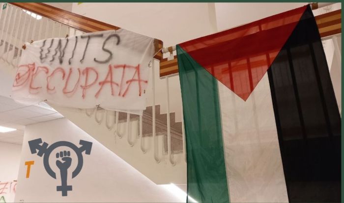 No alla guerra', la facoltà di Economia occupata a Trieste da Giovani Pro Palestina simpatizzanti di Friday for Future