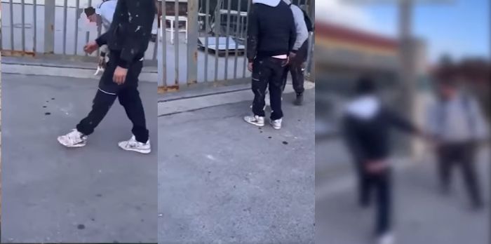Prendono a calci un gattino e postano video, denuncia deputato in Campania (VIDEO)