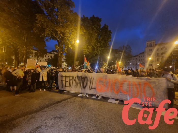 Dal 7 ottobre 2023 manifestazioni pro-Palestina in Italia, criticità in 33