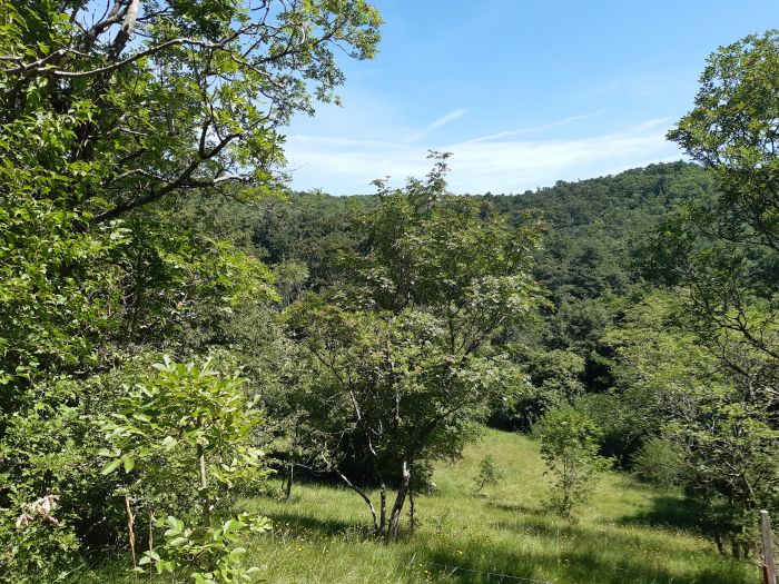 Il Carso triestino protagonista degli European Green Belt Days: natura, storia e cooperazione europea