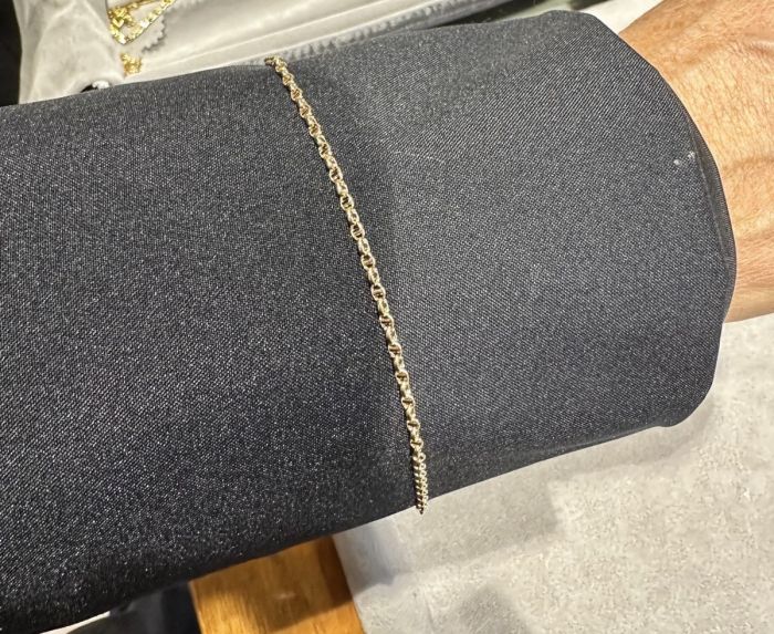 Collana in oro smarrita allo stadio Rocco, l’appello di un tifoso triestino