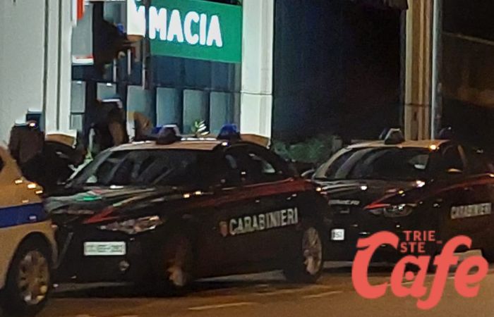 Torri d'Europa, furto da Piazza Italia: ladro "pizzicato" dai dipendenti