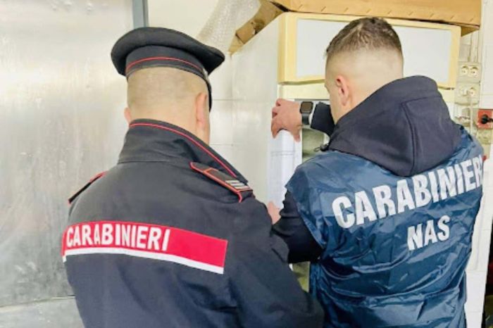 Nas Fvg. Nel 2025 chiuse 964 attività per gravi carenze igieniche, 16 persone denunciate   