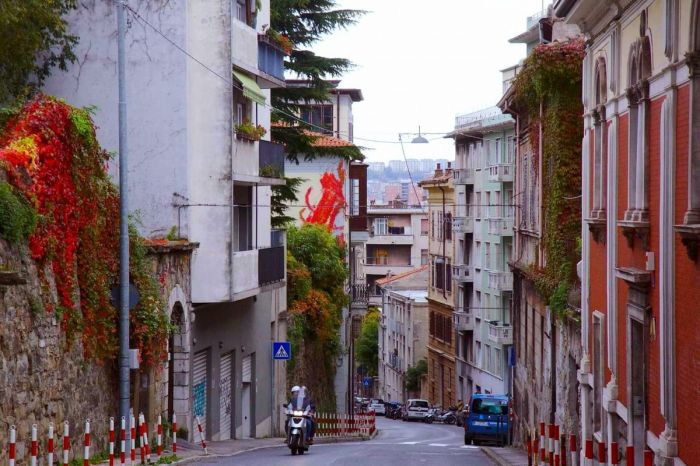  A Trieste superamento della soglia di attenzione ozono atmosferico, precauzioni per le fasce più sensibili