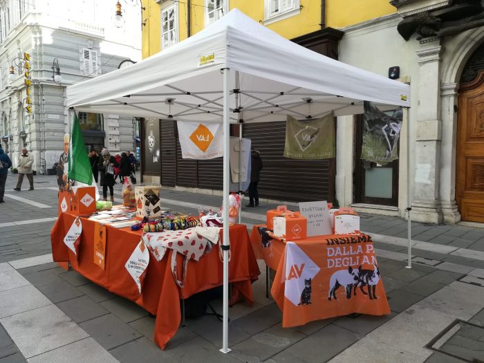 World Animal Day, sabato in piazza Vittorio Veneto  in occasione della festa del santo patrono