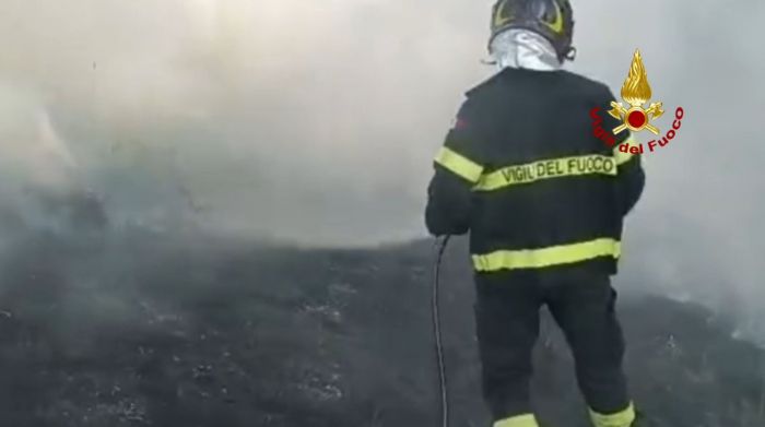 Fiamme a Trieste, incendio di sterpaglie a via Bonomea: evitato il peggio vicino alla pineta (VIDEO)