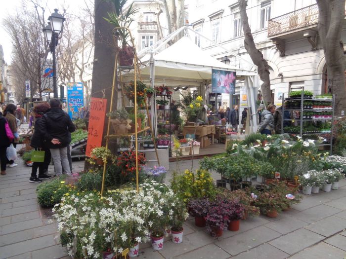 Sabato inaugura l'attesissima "Viale in Fiore": alle 10.30 taglio del nastro con Nonna Marina! 
