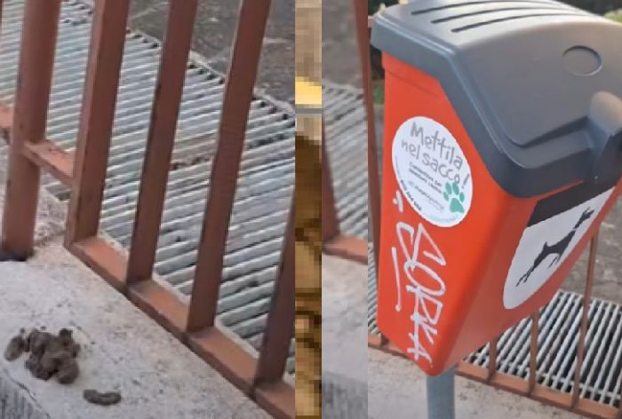 Via Ghirlandaio, quando il degrado è una scelta: l’ennesimo schiaffo al decoro urbano 