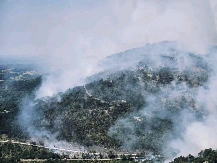 Nella notte spento l'incendio sul Carso Sloveno dopo 14 ore di lavoro ininterrotto 