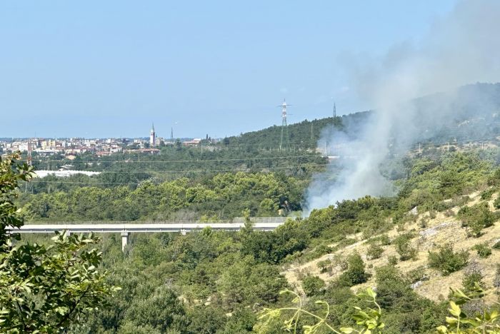 Nuovo incendio in Carso (VIDEO) 