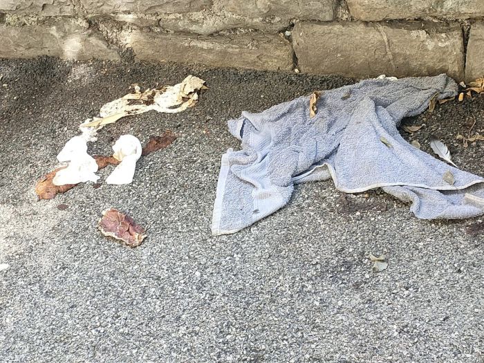 Rifiuti ed escrementi umani in Piazzetta Belvedere: disagio e imbrazzo