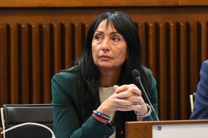 "Cisint: ‘Il niqab è sottomissione, la sinistra finalmente ci dà ragione’"