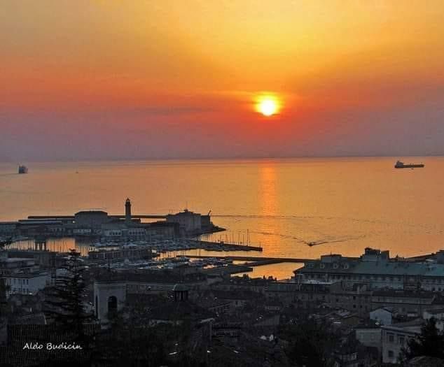 Trieste, cresce l’interesse turistico: bellezza, mare e identità spingono l’attenzione sulla città
