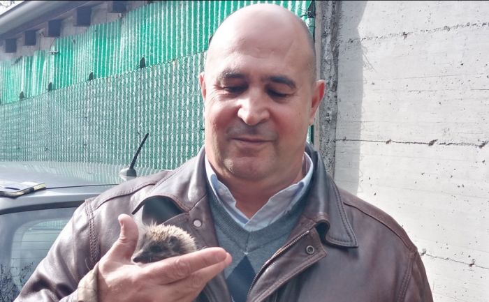 Giorgio Marchesich presenta il suo nuovo “compagno di battaglia”: il riccio indipendentista