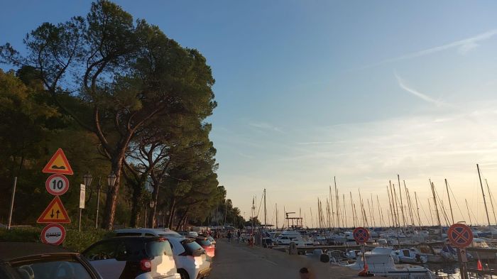 "Salviamo i pini di Grignano e restituiamo il mare ai cittadini", lanciata una petizione regionale
