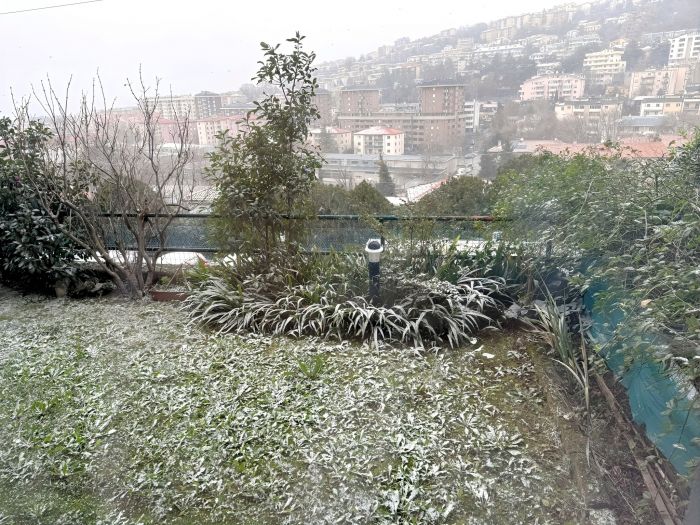 Piano neve a Trieste, come funziona l’emergenza tra mezzi spargisale, strade prioritarie e regole per i cittadini