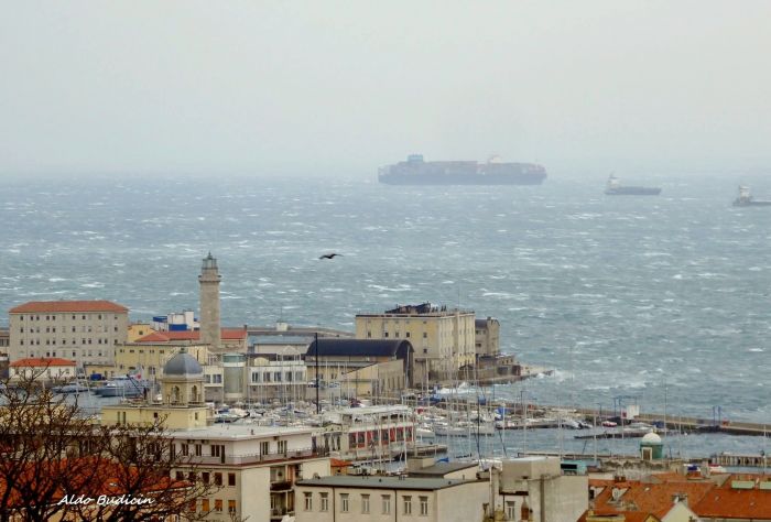 Trieste, perché sempre più persone la scelgono: la città italiana che unisce mare, Europa e qualità della vita