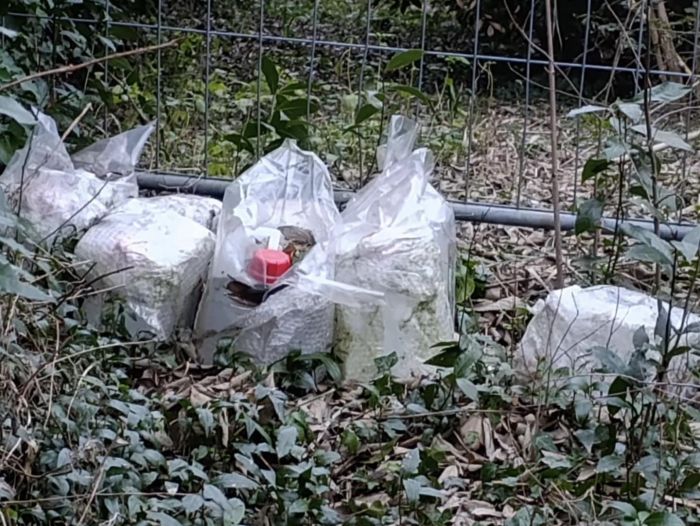 Rifiuti ingombranti, contenitori con liquidi sospetti abbandonati a Trieste 