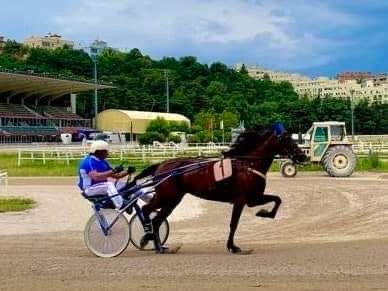 Riki Ramazzina vola al Campionato Gentleman Italiano: 'Spero di portare un titolo a Trieste' (VIDEO)
