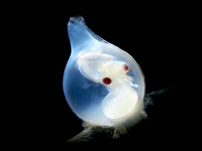 Gruppo Ermada per la giornata mondiale dell’acqua, due importanti iniziative che coniugano cultura e sostenibilità