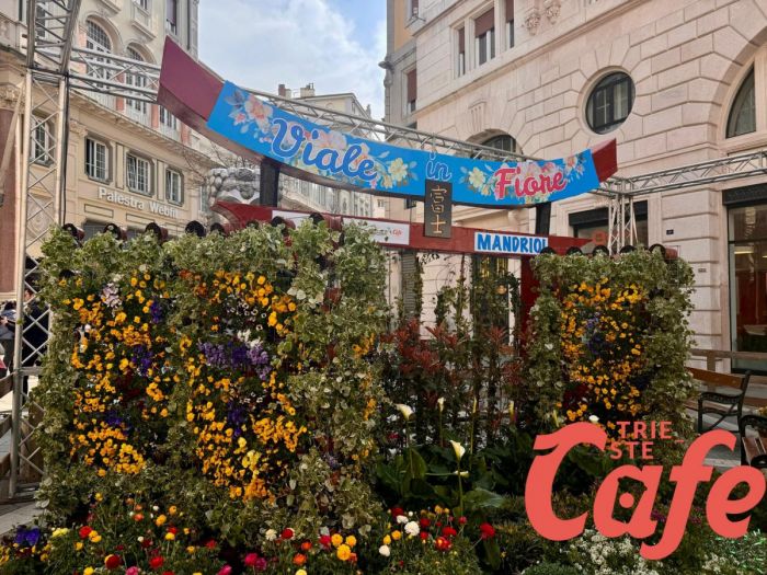 Viale in fiore compie 26 anni, Rovinelli: “Tradizione che riparte tra allestimenti e calendario” (VIDEO)