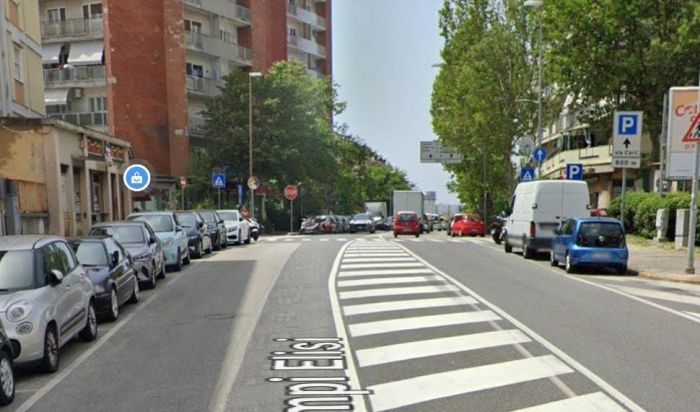Dramma in Campi Elisi, lamenti disperati dall’appartamento: sequestrati due cani denutriti e gatto