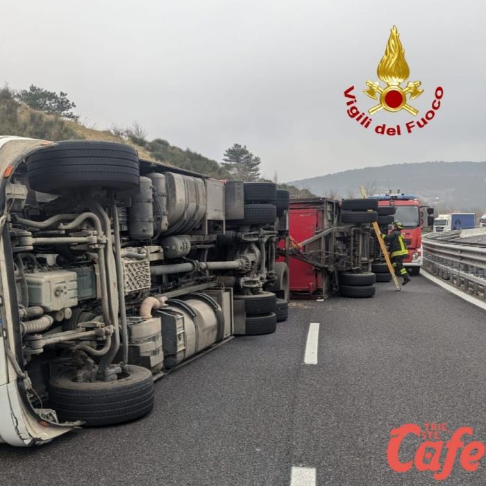 Tragedia sulla Ex GVT: camion ribaltato a Trieste, strage di mucche morte e animali in fuga