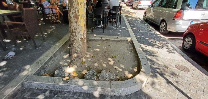 Piazza Garibaldi: al via gli interventi di riqualificazione e messa in sicurezza di alberature a aiuole 