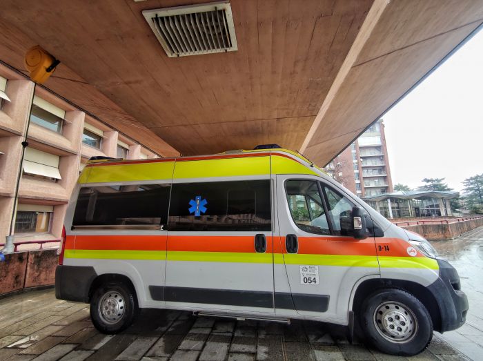 Insetti fastidiosi e dispettosi mandano coppia di corregionali all'ospedale