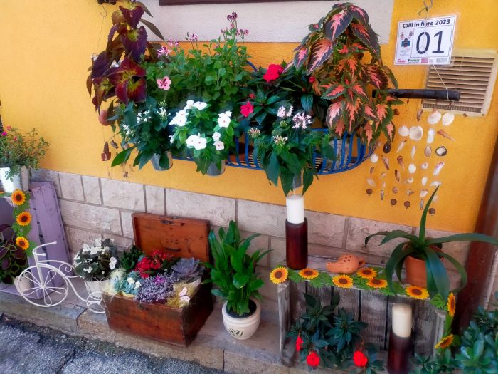 Calli fiorite 2026, Muggia si colora: al via il concorso che trasforma il centro storico