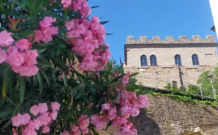 Castello di Muggia: qualche precisazione sulle notizie della vendita del Castello