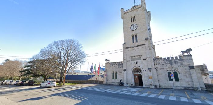 Abbattimento alberi a Trieste: Adesso Trieste e Patto per l'Autonomia chiedono chiarimenti