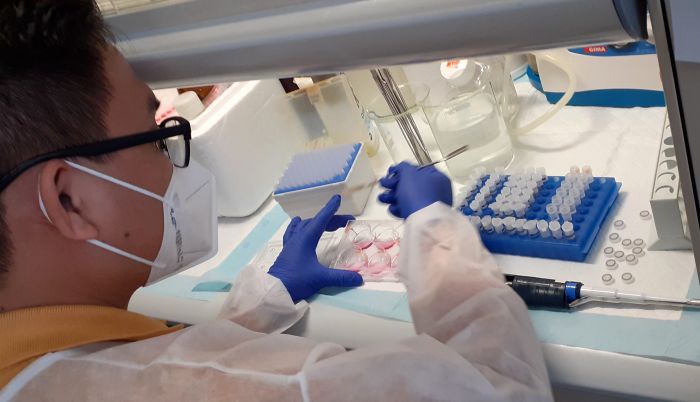 A Trieste un importante incontro sulle malattie autoimmuni del fegato