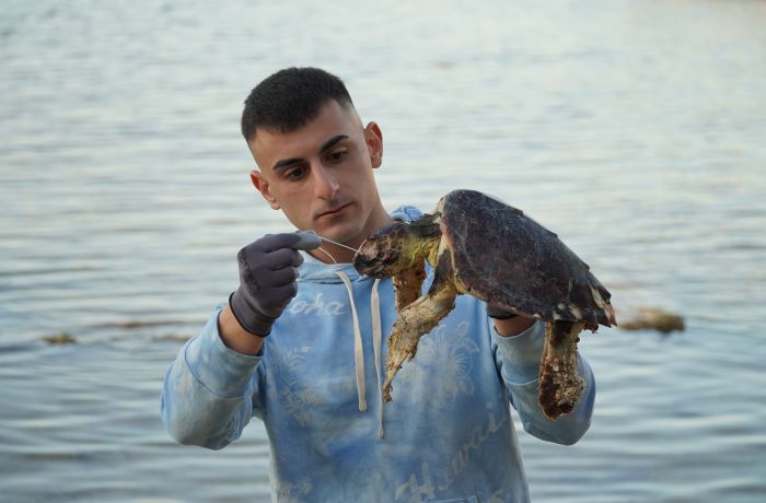 Sicilia, una tartaruga marina senza vita: decesso causato dall'ingestione di un attrezzo da pesca