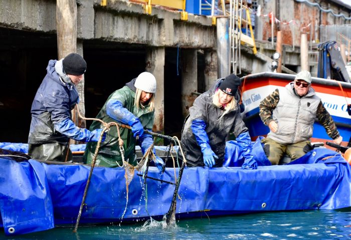 Venezia, nuova immersione dei Gondolieri sub: ripuliti i rii, recuperati 7 quintali di rifiuti dai fondali (FOTO)