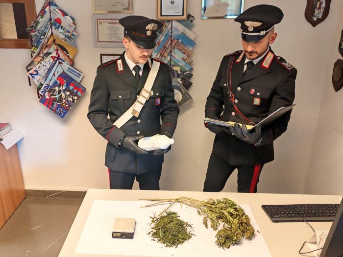 Alloggio popolare trasformato in serra per marijuana: un profumo unico e inconfondibile 