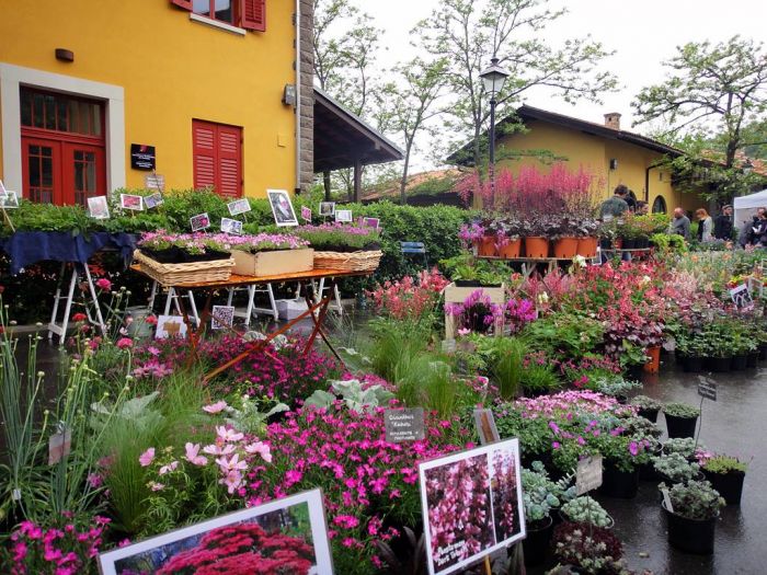 Al via domani la XVIII edizione di Horti Tergestini, quest'anno dedicata a Franco Basaglia
