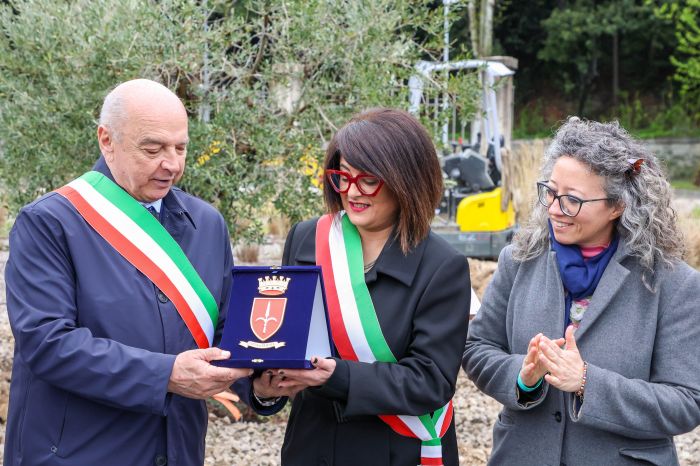 Trieste accoglie l’ulivo di Corato: “Simbolo di pace e rigenerazione per Porto Vivo”