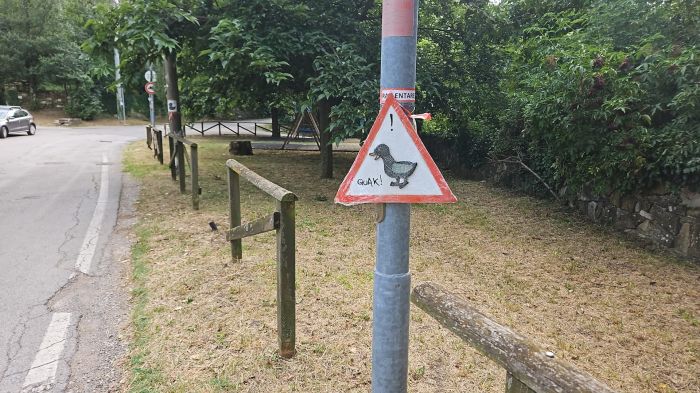 Pericolo per gli anatroccoli al laghetto di Contovello: necessità di una segnaletica adeguata