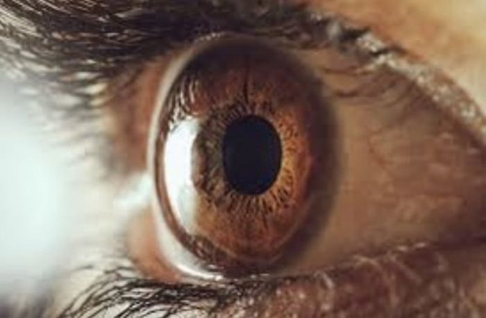 Giornata Mondiale della Vista del 12 ottobre: UICI Trieste loda l’ambulatorio oculistico dell’associazione attivo da più di 40 anni