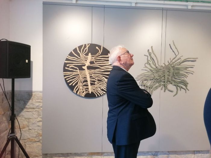 “Open. Confini di luce per un mondo di pace”: a Trieste l’arte racconta il confine tra memoria e speranza